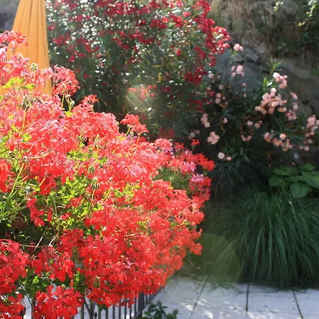 Bed and Breakfast Antico Sempione *