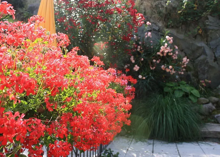 Nocleg ze śniadaniem Antico Sempione *