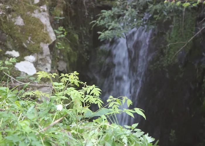 Antico Sempione 카노비오